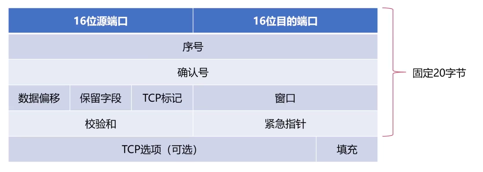 计算机网络知识点全面总结（有这一篇就够了！！！）